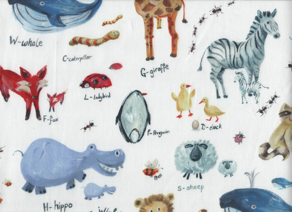 Close Up Animal World