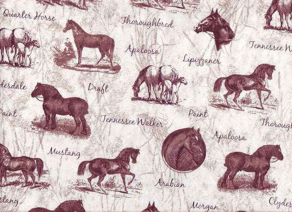 Close-Up horse trail