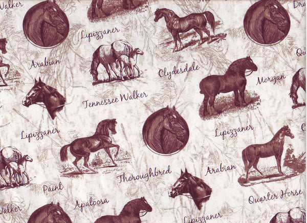 Close-Up horse trails