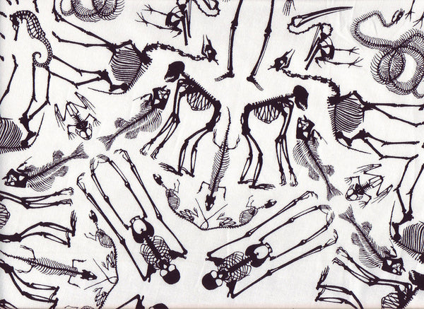 Close-up Stethoscope Socks Osteology