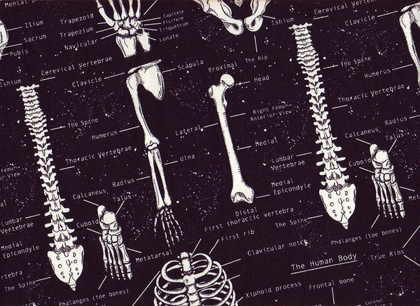 Close-up Surgical Scrub Caps Skeletons, glows in the dark