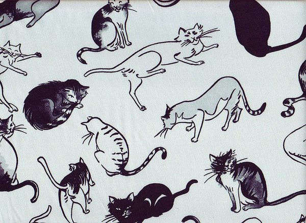 Close-up Stethoscope Covers Sketch Cats