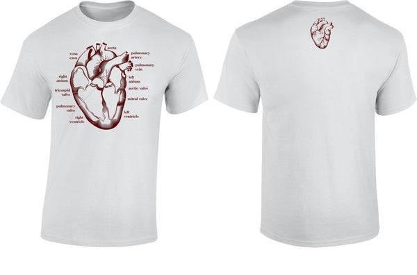 Heart Section T Shirt