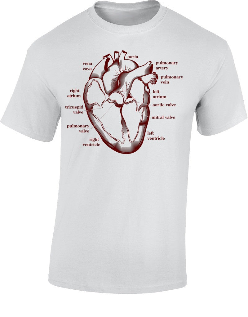 Heart Section T Shirt