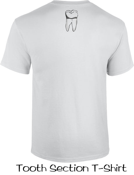 Tooth Section T Shirts
