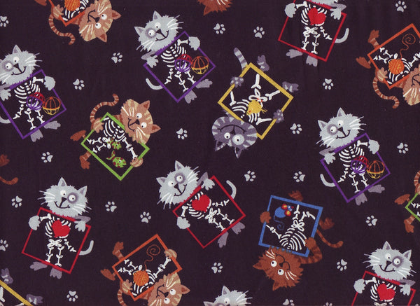 Close-up Stethoscopes Cover X Ray Cats 