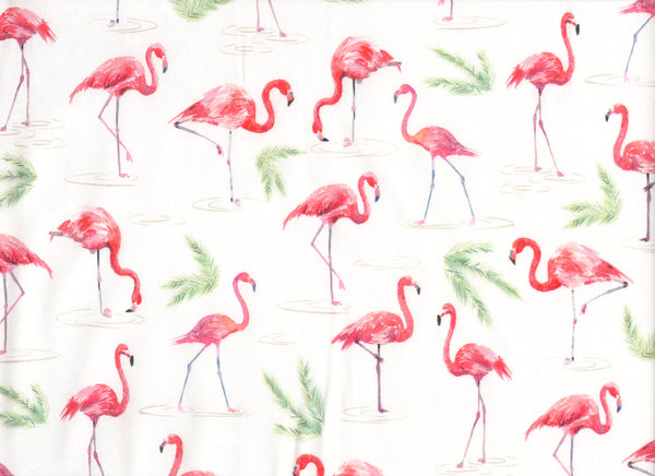 Close Up Flamingos