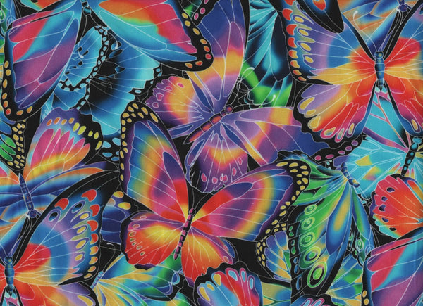 Close Up Papillon