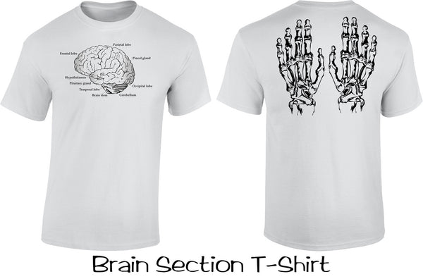Brain Section T Shirt
