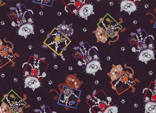 Close-up Stethoscopes Cover X Ray Cats 2